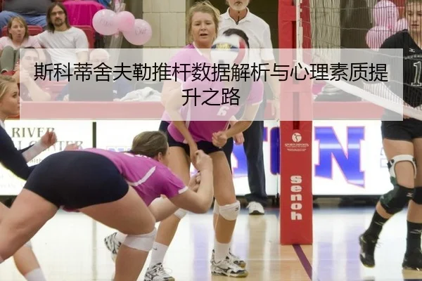 斯科蒂舍夫勒推杆数据解析与心理素质提升之路