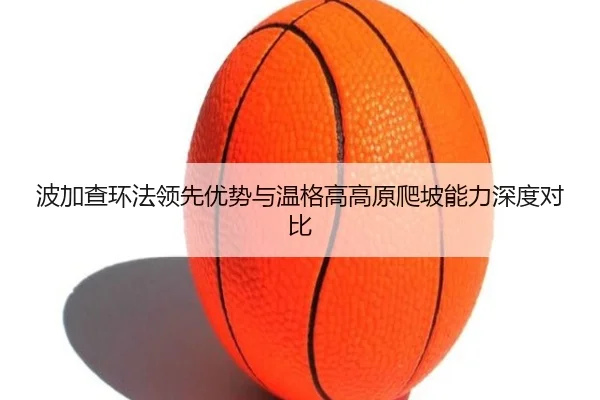 bo-jia-cha-huan-fa-ling-xian-you-shi-yu-wen-ge-gao-gao-yuan-pa-po-neng-li-shen-du-dui-bi-2-991.jpg
