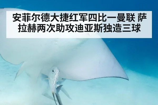 安菲尔德大捷红军四比一曼联 萨拉赫两次助攻迪亚斯独造三球